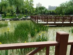 景点-丰台科技园生态主题公园