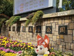 -上海共青森林公园