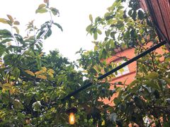 景观位-Ocean's Table 欧舍