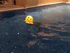 -斯博特游泳俱乐部(永安里店)