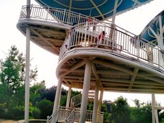 -铁山坪森林公园