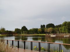 -东郊湿地公园