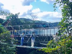 -海南槟榔谷黎苗文化旅游区