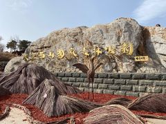 -北京西山国家森林公园