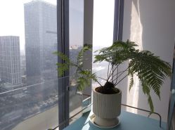 -颜蕾医美黄金微针水光玻尿酸超声炮抗衰中心