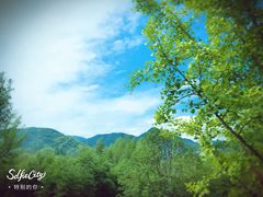 -雅鲁激流探险漂流