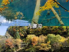 -和顺古镇