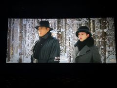 -AMG海上明珠影城(上海环球港RealDCinema店)