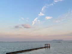 -贡湖湾湿地公园