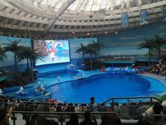 -海合安成都极地海洋公园