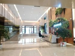 -青禾造型&刺青