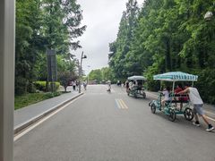 -日照海滨国家森林公园