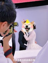 -你好晴天·目的地婚礼
