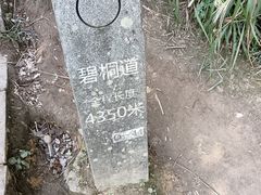 -梧桐山风景名胜区