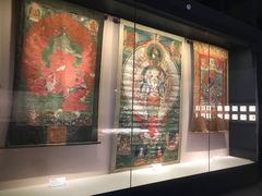 -四川大学博物馆