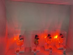 -Xcape异时刻密室逃脱魔法互动(瑞虹天地太阳宫店)