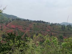 -木兰云雾山