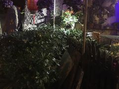 -国生茶庄·地道农家菜团建活动