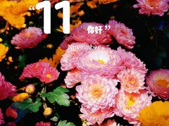 -汇龙潭