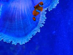 -沈阳海洋探索中心