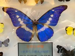 -宁波五龙潭景区