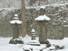 -天目山大树王景区