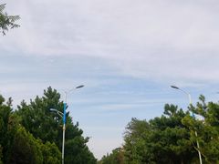 -日照海滨国家森林公园