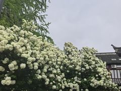-常熟方塔园