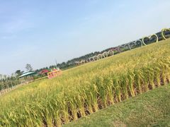 -迪茵湖田家舍生态农场