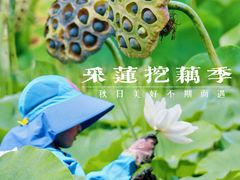 -野鸭湖国家湿地公园
