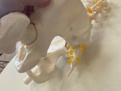 -复动肌骨门诊·MEDMOTION(北外滩店)