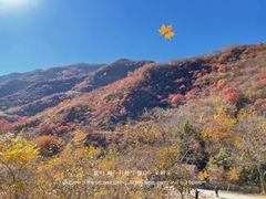 -水峪民俗村