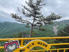 -朱雀国家森林公园