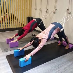 -榕树上·瑜伽普拉提