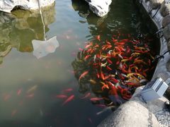 -七宝老街-闵行市民文化广场