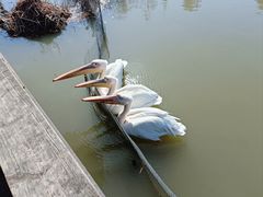 -宁波杭州湾国家湿地公园