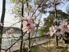 -万佛湖风景区