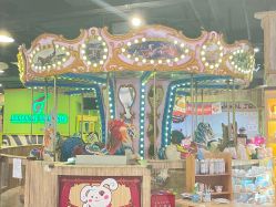 -卡通尼·Safari非洲探索乐园·生日会(金桥国际商业广场店)