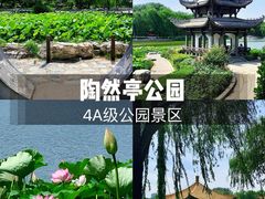 -陶然亭公园