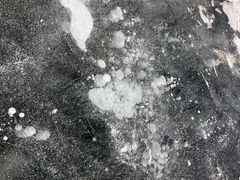 -哈尔滨大剧院