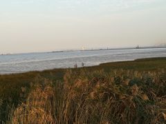 -吴淞炮台湾湿地森林公园烧烤区