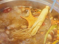 鲜人参锅底-千岛蚝高压锅生蚝·人参火锅(白云万达店)