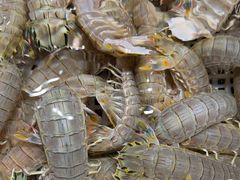 -龙宴海鲜城(经中路店)