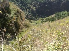 -潭溪山