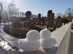 -北京世界公园