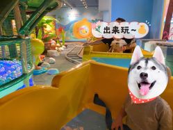 -贝乐鸥主题乐园(锦城万达广场店)