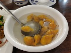 -新楚记