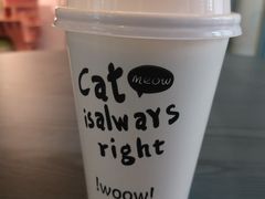 -喵屿·大理花园猫咖
