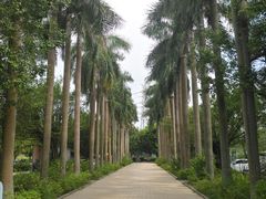 -百万葵园