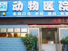 -pd派德宠物中心医院24H急重症·眼科中心·血液透析中心(嵩山北路店)